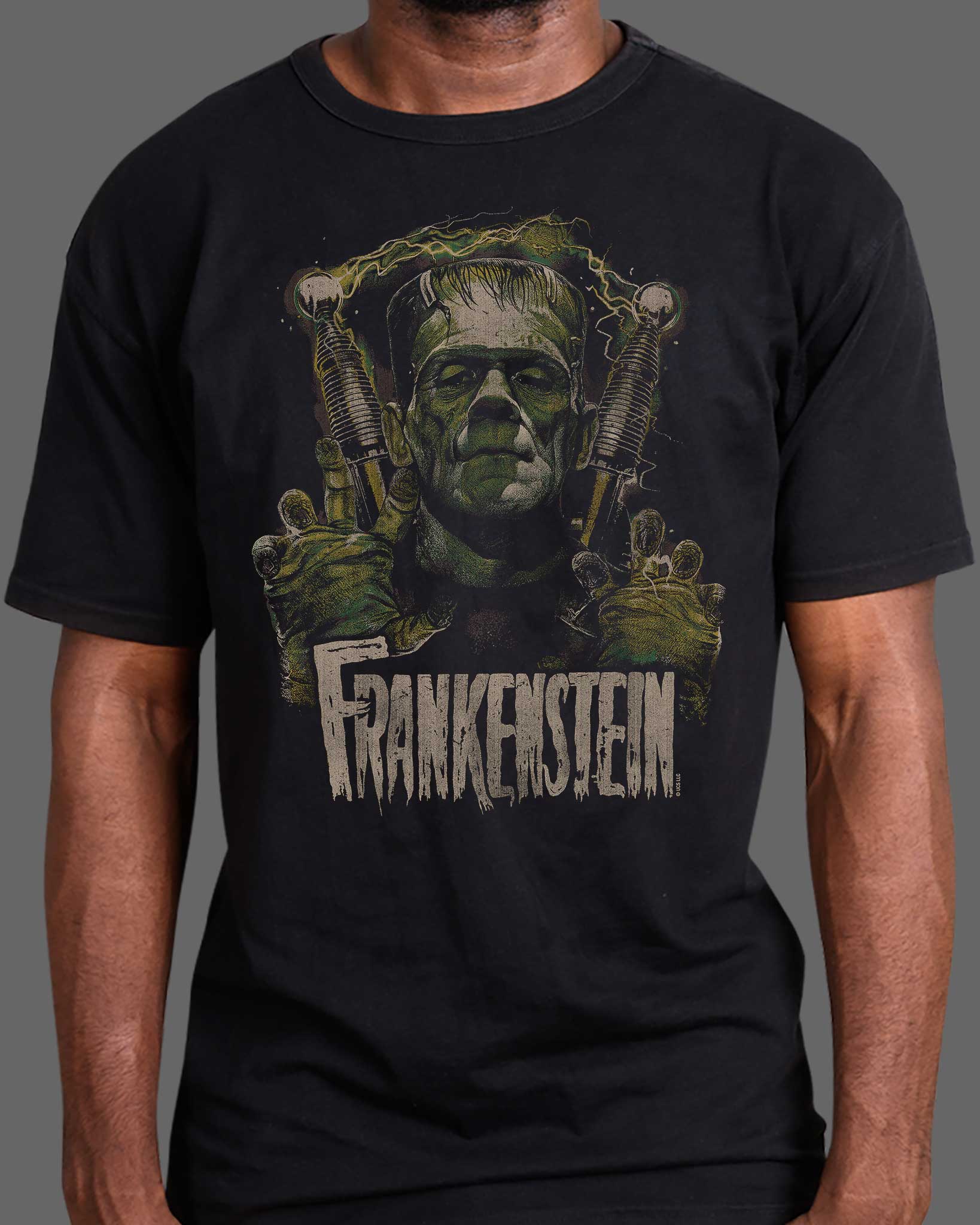 Frankenstein - Image 3