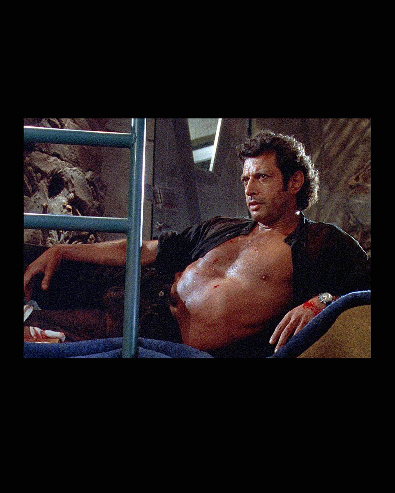 Ian Malcolm - Image 2
