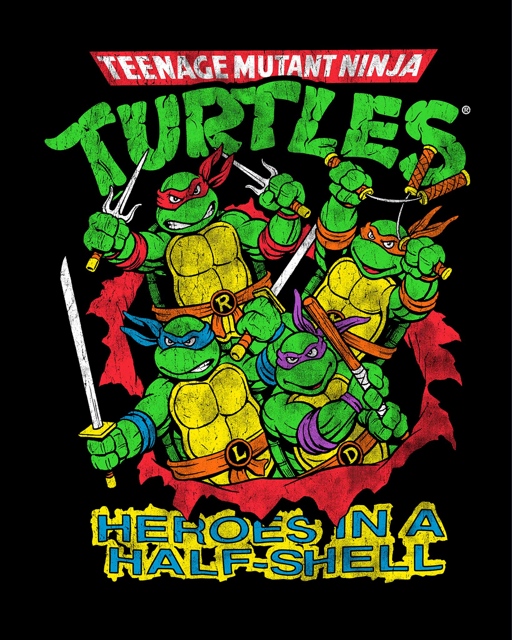Teenage Mutant Ninja Turtles - Heroes In A Half Shell - Image 2
